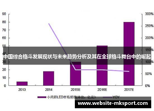 中国综合格斗发展现状与未来趋势分析及其在全球格斗舞台中的崛起